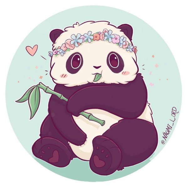 Наоми Лорд животные Панда