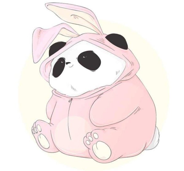 Панда рисунок для срисовки милый