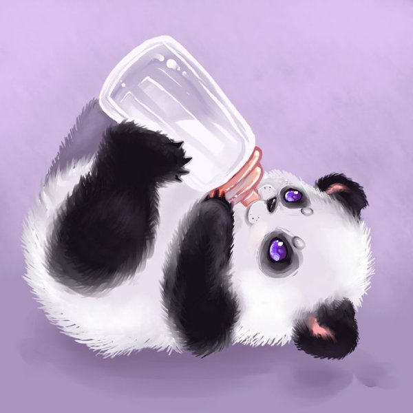 Няшные панды