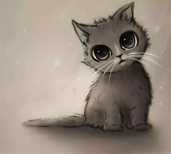 Рисунок кот милый (67 фото) » Рисунки для срисовки и не только