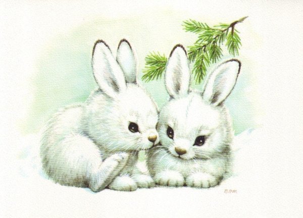 Заяц рисунок