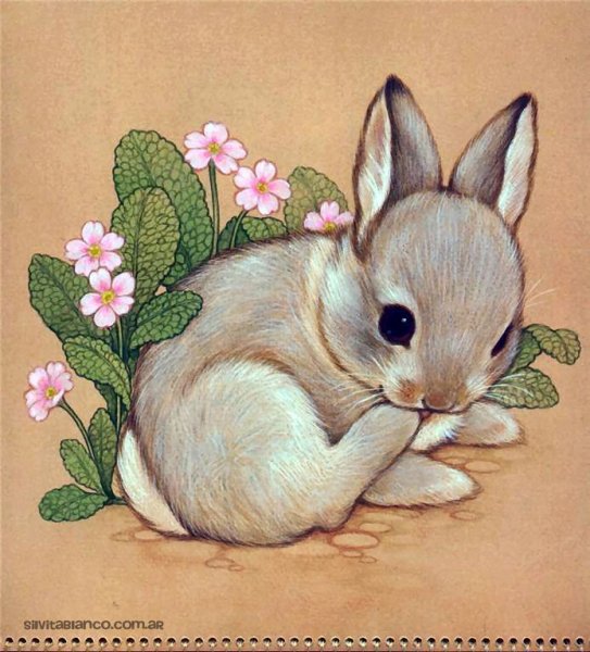 Иллюстрации животных