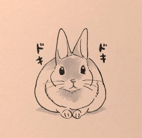 Рисунок кролика для срисовки