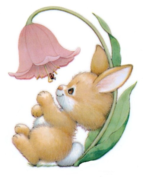 Зайка иллюстрация