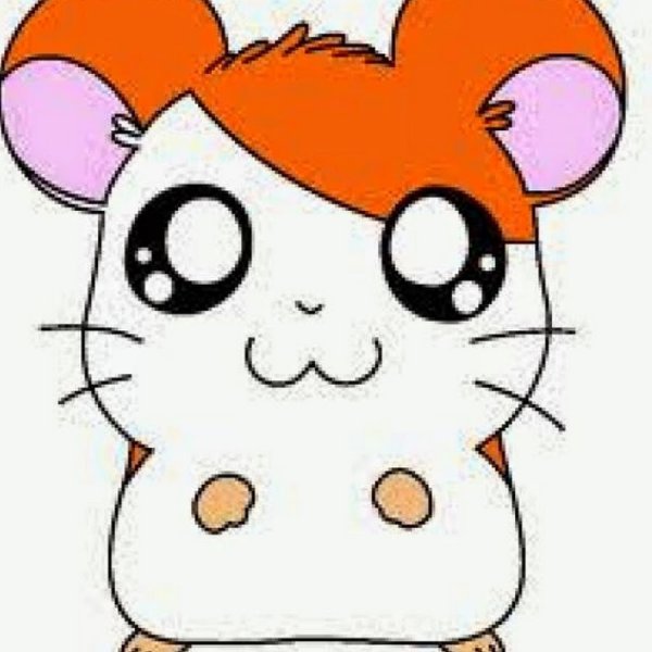 Hamtaro мультсериал