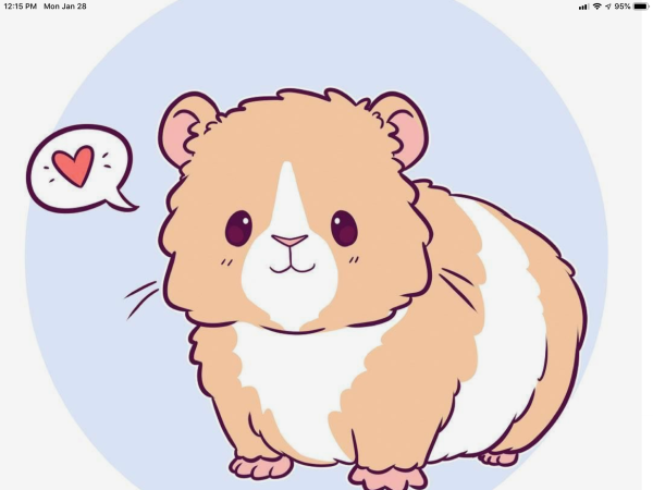 Кавайные животные хомяки