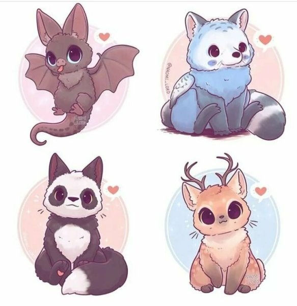 Наоми Лорд животные