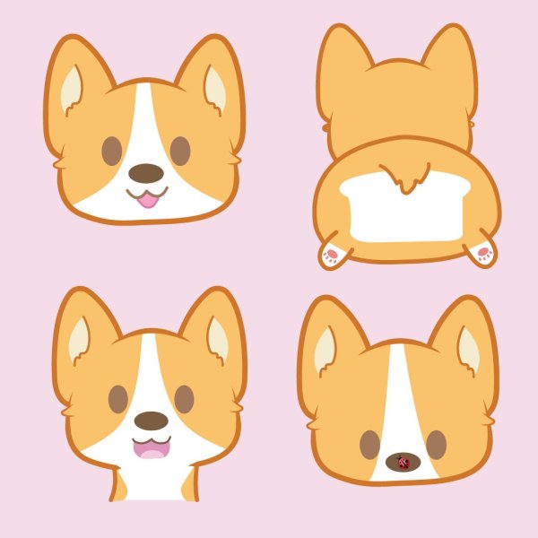 Кавайные сиба корги