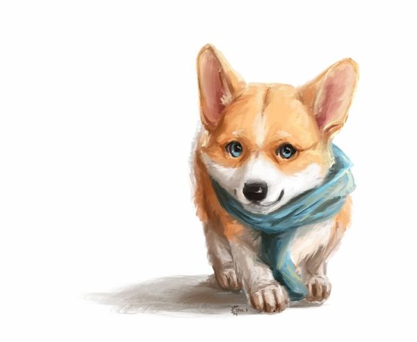 Вельш корги пемброк