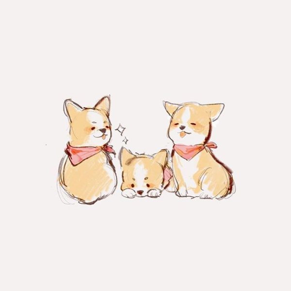 Корги арт Минимализм