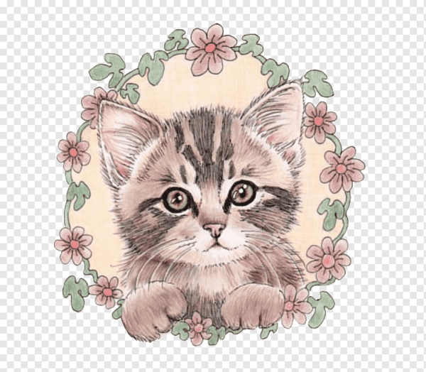 Котёнок рисуночек