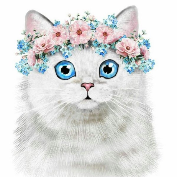Милые котики с цветочками