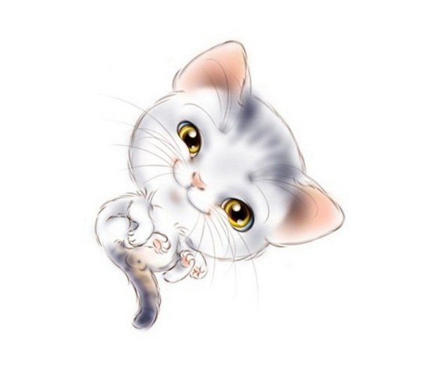 Иллюстратор Мельникович Людмила