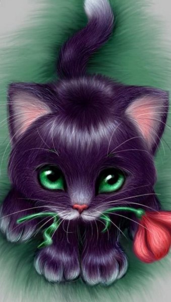 Красивые мультяшные коты