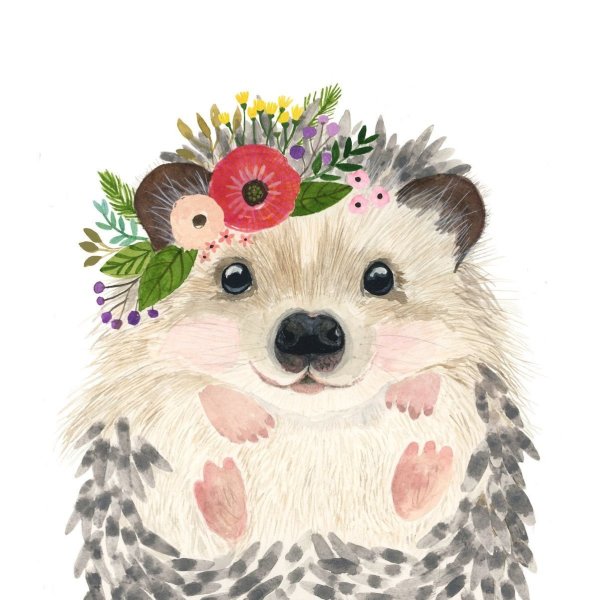 Акварельные зверушки