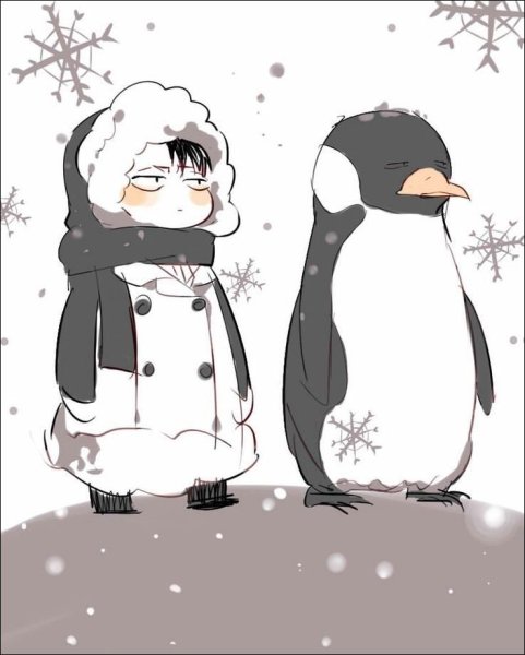 Леви Пингвин атака титанов