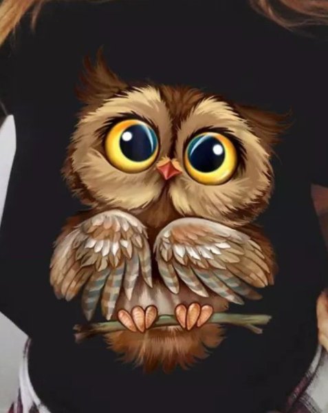 Сова иллюстрация