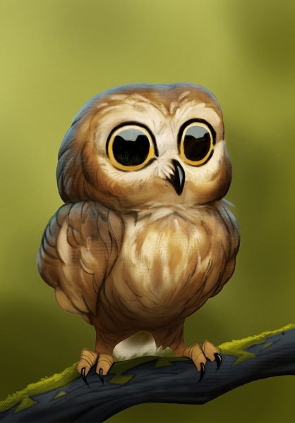 Милая Сова в очках