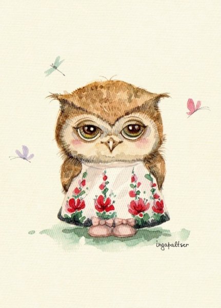 Сова рисунок