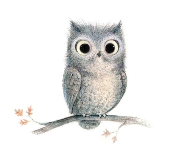 Совы художницы Инги Пальцер