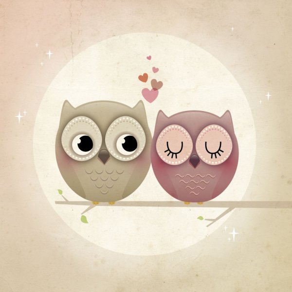 Совушки мультяшные
