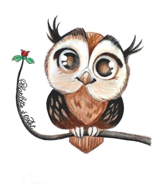 Попсокет Сова