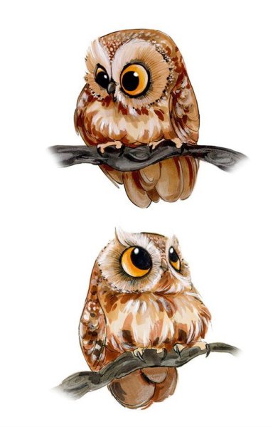 Няшный совёнок