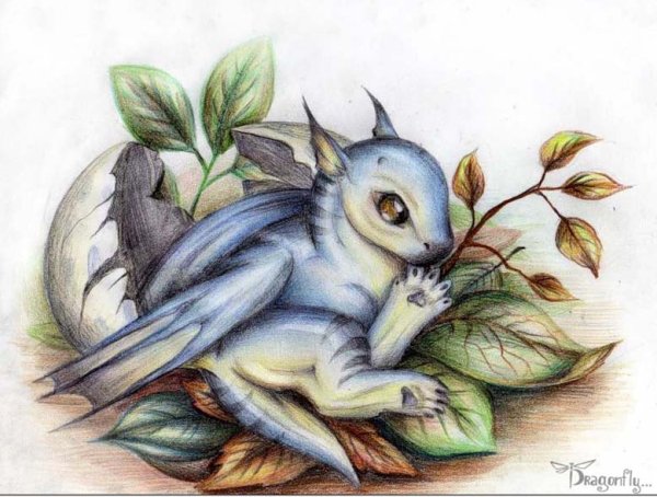 Драконы милые акварелью