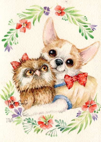 Совы Инги Измайловой