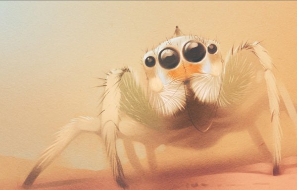 Красивый паук арт