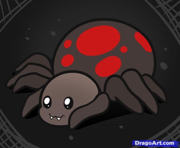 Милый паук мультяшный