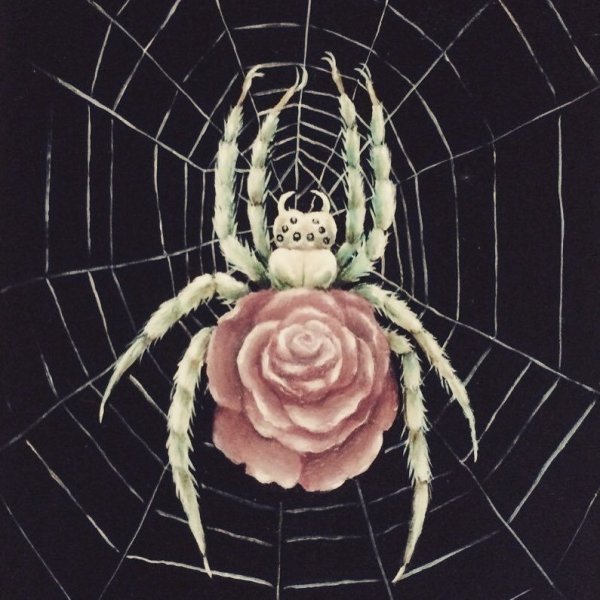 Арты паук-цветок