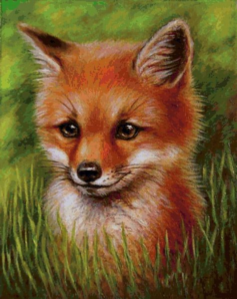 Лиса Мимимишная