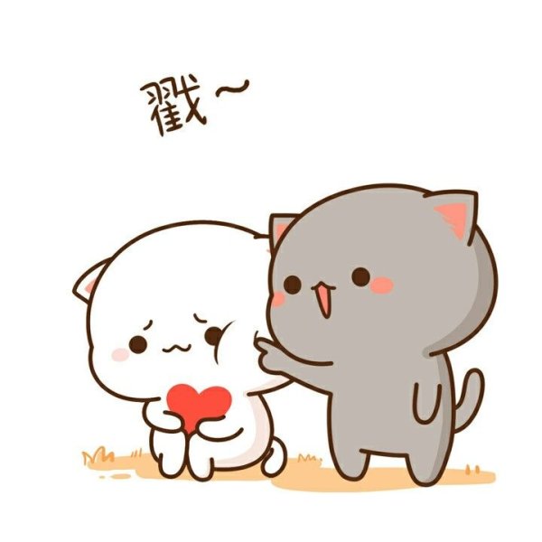 Кавайные котики любовь