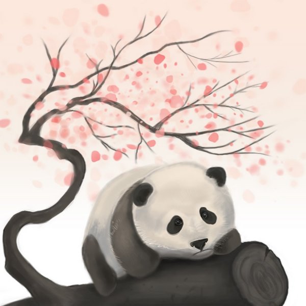 Панда и Сакура