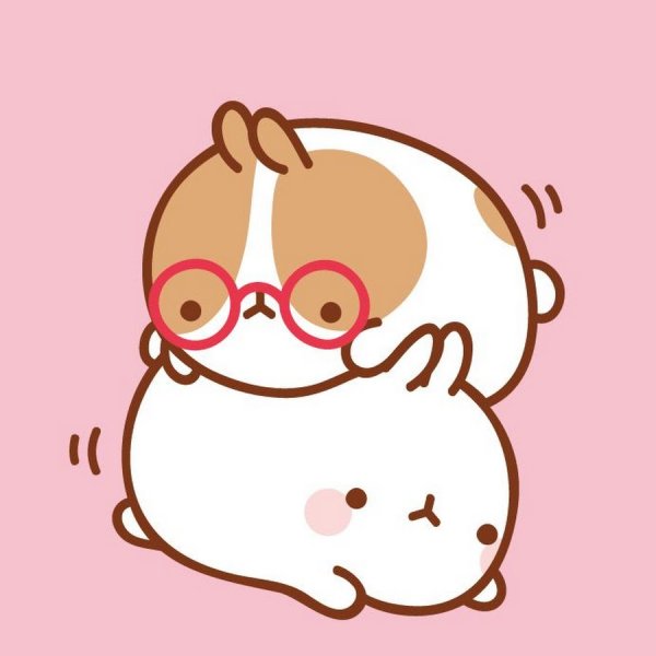 Моланг котик