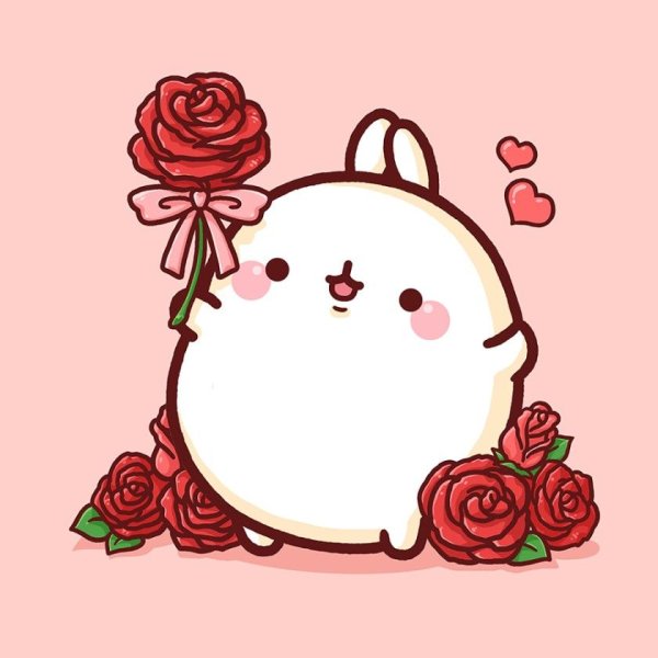 Японский кролик Моланг