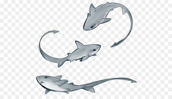 Референсы акул