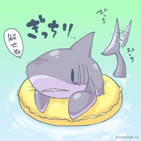 Няшная акула