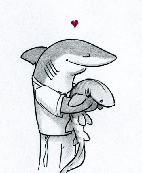 Рисунок акулы карандашом для срисовки