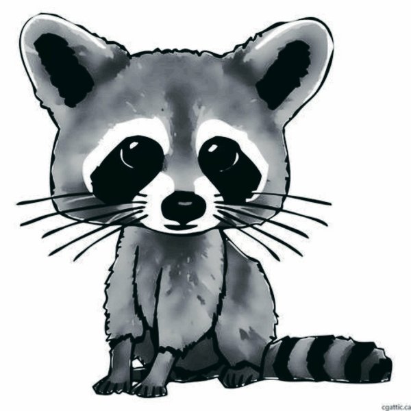 Енот рисовать