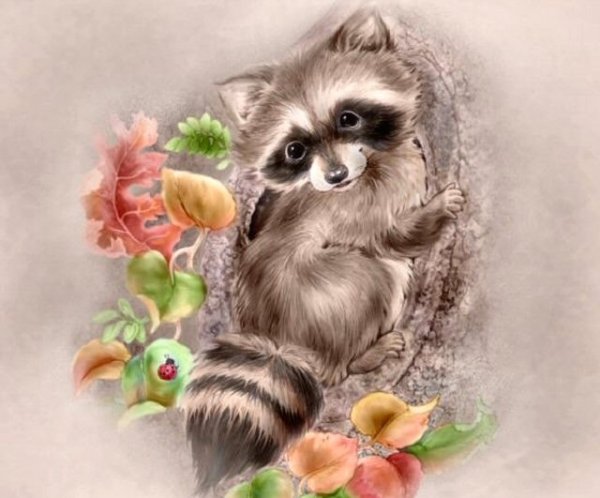 Милый енот арт