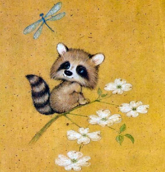 Енотики милые иллюстрации