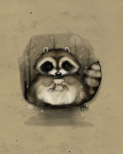 Арты енотов