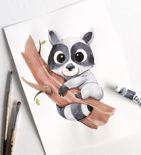 Енот акварельными карандашами