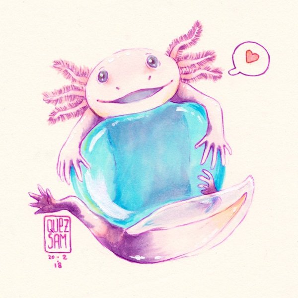 Аксолотль Кавайи