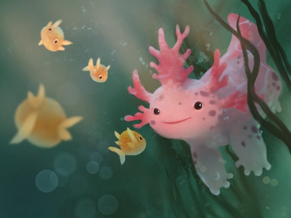 Аксолотль аниме