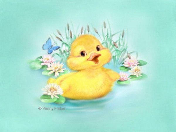 Утенок иллюстрация