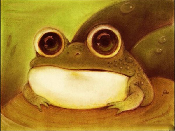 Лягушка арт милый