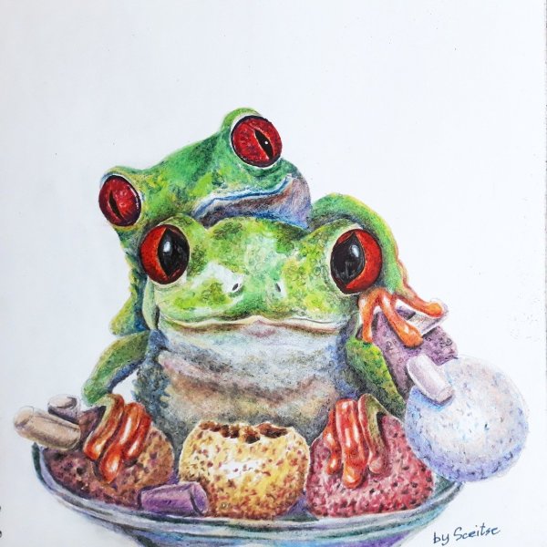 Идеи для рисунков лягушки